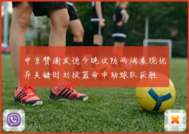 申京赞谢泼德今晚攻防两端表现优异关键时刻投篮命中助球队获胜